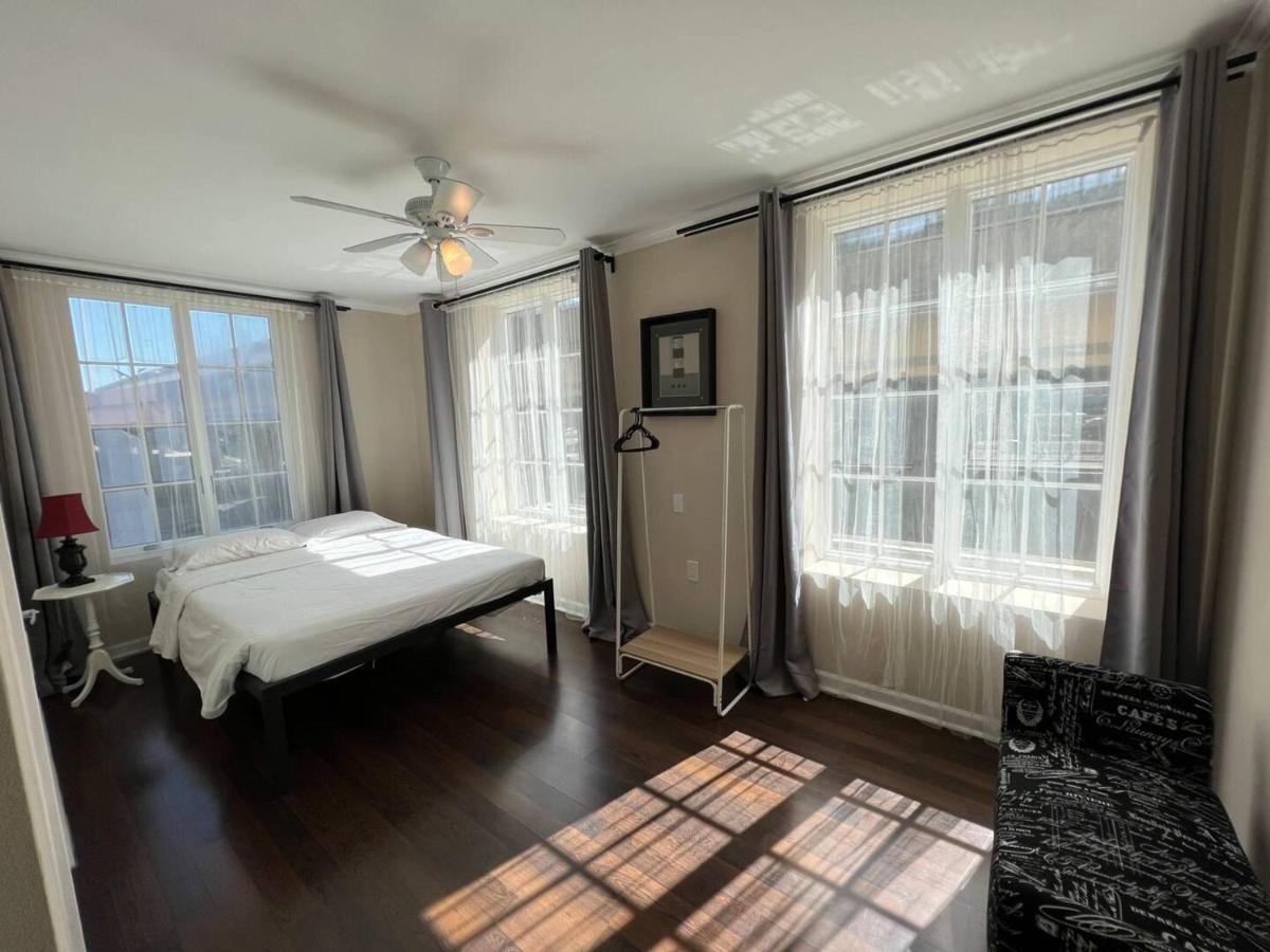 Tise Plaza Condos 新奥尔良 外观 照片